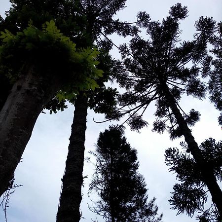 Bangalo A Beira Do Rio Em Plena Natureza Petrópolis Quarto foto