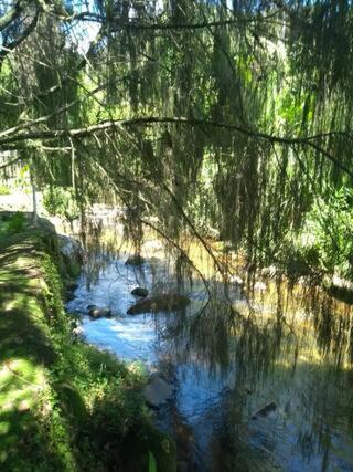 Bangalo A Beira Do Rio Em Plena Natureza Petrópolis Exterior foto