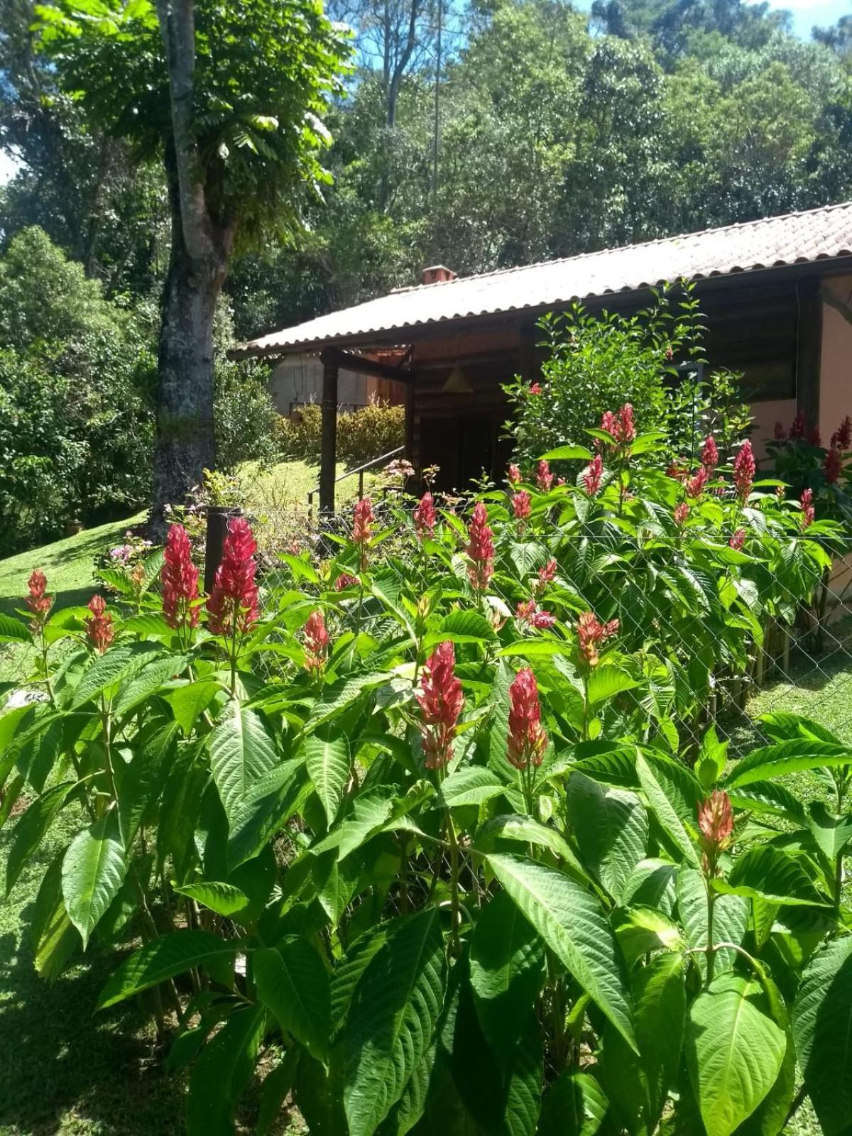 Bangalo A Beira Do Rio Em Plena Natureza Petrópolis Quarto foto