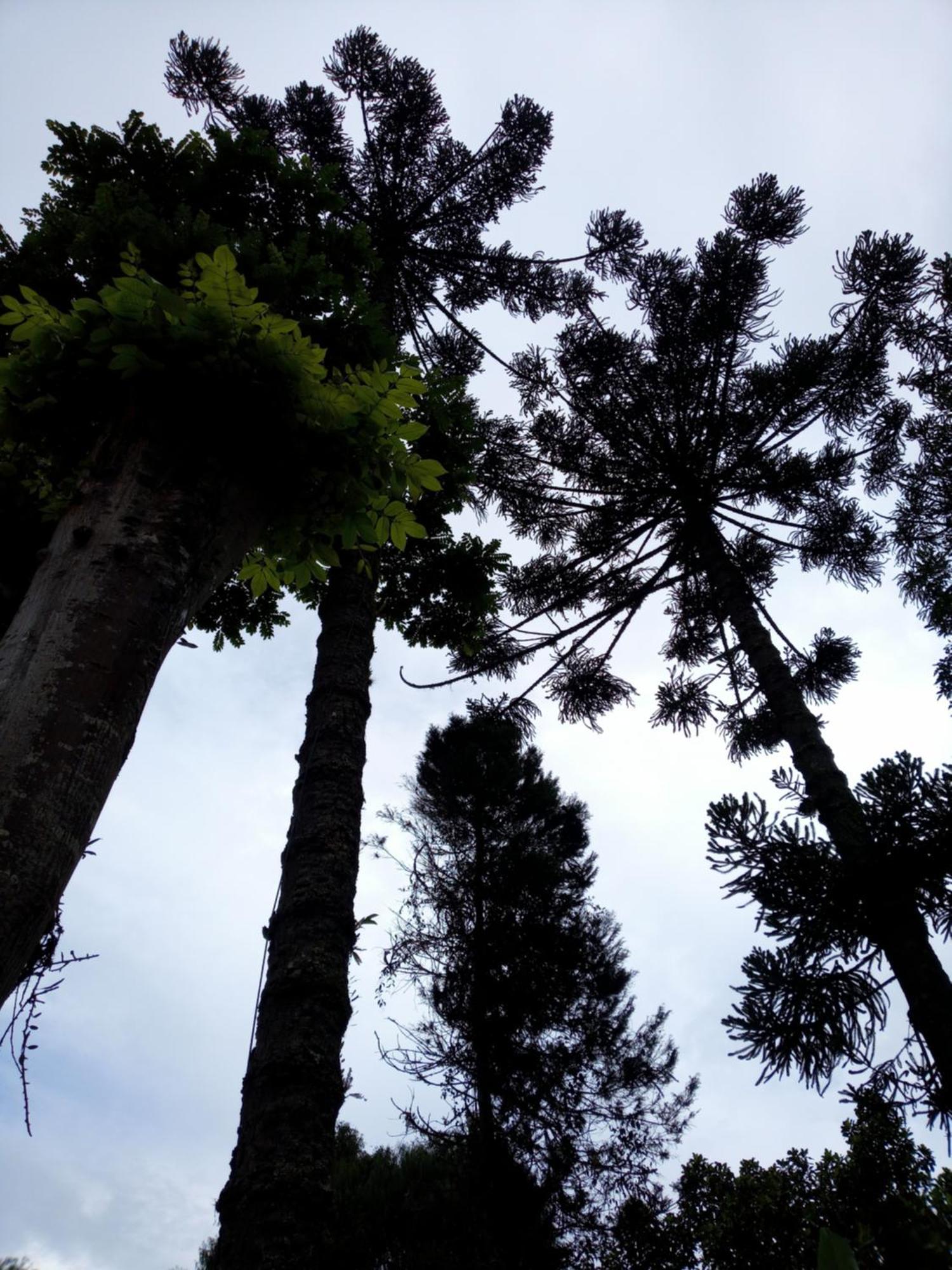 Bangalo A Beira Do Rio Em Plena Natureza Petrópolis Quarto foto